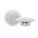 Herdio 4 Inches Waterproof Marine Ceiling Speakers with 160 Watts Power, Handling for Kitchen Bathroom Boat Car RV Camper Motorcycle Cloth Surround and Low Profile Design - 1 Pair (White) White