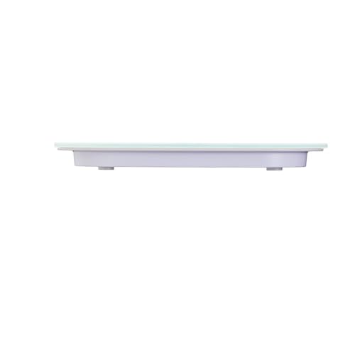 Taylor Pro Digital Kitchen Food Scales, Compact Professional Standard with Precision Accuracy and Waterproof Design with Tare Feature, White Glass, Weighs 14 kg/14 L Capacity Scale