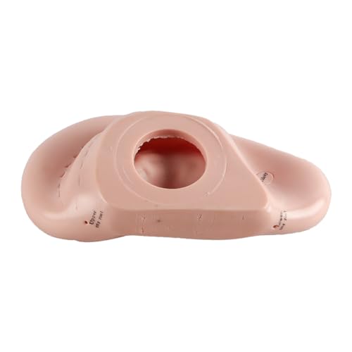 17cm Ear Acupuncture Point Display Model, Soft PVC Ear Acupuncture Point Model for Study of Ear Anatomy and Laboratory Use