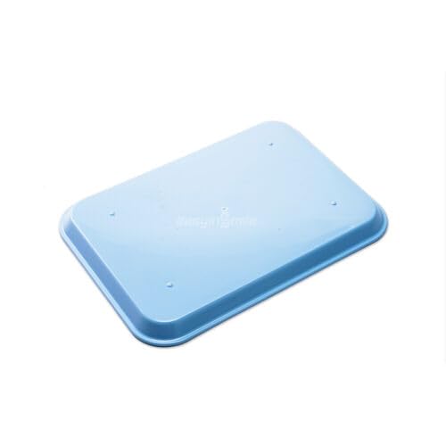 [Australia - AusPower] - Dental Flat Instrument Set-Up Tray Size F Mini Autoclavable Size F Plastic Trays (Blue) Blue 