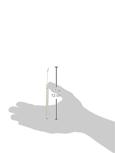 RSG Stainless Steel Dissecting Needle with Stainless Steel Handle, Curved, 50 mm Needle, 150 mm Length