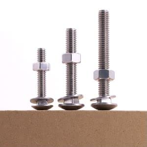 (12 Sets) 1/4"-20 x 1/2 Carriage Bolt with Hex Nuts and Flat Washers SAE, Round Head Square Neck Bolts, 304 Stainless Steel 18-8, Full Thread UNC 1/4-20 x 1/2 12