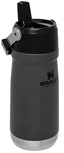 Stanley IceFlow Flip Straw Water Bottle 17 oz | Built-In Straw for Travel and Sports | Lightweight and Leak Resistant | Insulated Stainless Steel | BPA-Free | Charcoal 17 Ounces