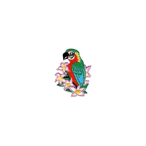 Tervis 12oz Tritan Tumbler | Birds of the Tropics Collection 12oz Tumbler, Set of4 Clear