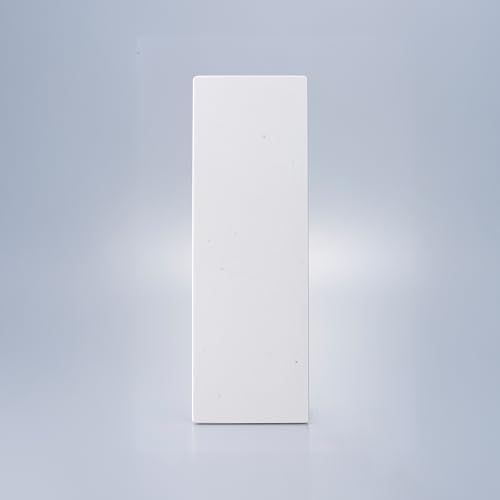Shapton GlassStone 500 25-micron Type WA sharpening stone in white abrasive surface and protective case