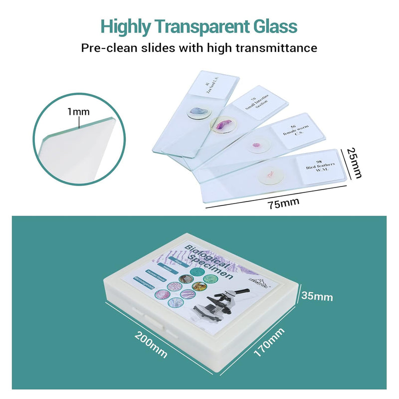 USCAMEL prepared microscope slides with specimens including bacteria, fungi, human tissues, plants, insects, and animal cells for science labs.