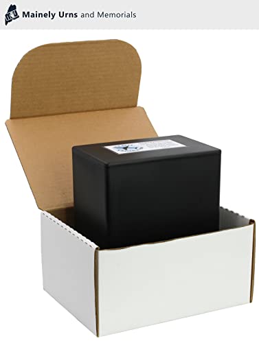 CarrySafe Urn - TSA Approved Fly-Safe and Temporary Travel Cremation Urn Kit for Human Ashes - Airline Friendly - 200 Cubic Inch Capacity - Airline-Ready Black Plastic Urn with Included Travel Box