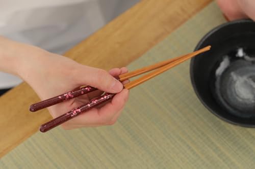 Japanese Chopsticks Set of 2 Pairs [Made in Japan] - Metallic Foil Finish Lacquered Wooden Chopsticks (Cherry Blossom Delight 2prs (MK055)) Cherry Blossom Delight 2prs (MK055)