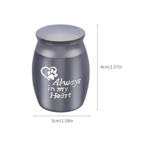 Tabanzhe Mini Cremation Urn, Memorial Funeral Cremation Urn - Personalised Stainless Steel Metal Keepsake Holder for Human and Pet Families Ashes(Black)