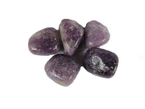 CircuitOffice 5 Piece Lepidolite Tumbled Stone (0.75" - 1") - Healing Stones, Metaphysical Healing, Chakra Stones for Wicca, Reiki, Healing, Metaphysical, Chakra, Positive Energy or Gift