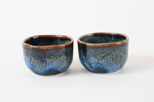 Mino ware Japanese Ceramics Sake Set (1 Bottle & 2 Cups) Tokkuri Carafe & Sakazuki Ochoko made in Japan (Japan Import) KZG001 (Black & Gold) Black & Gold