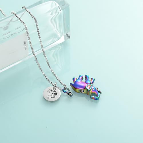 Urn Necklace for Ashes Elephant Cremation Jewelry for Human Pet Ashes Keepsake Memorial Urn Pendant Locket for Women Men Rainbow