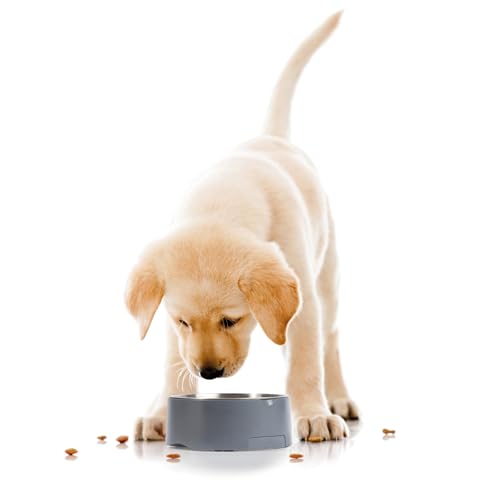 Salter Digital Pet Food Scale 5 Kg With Bowl
