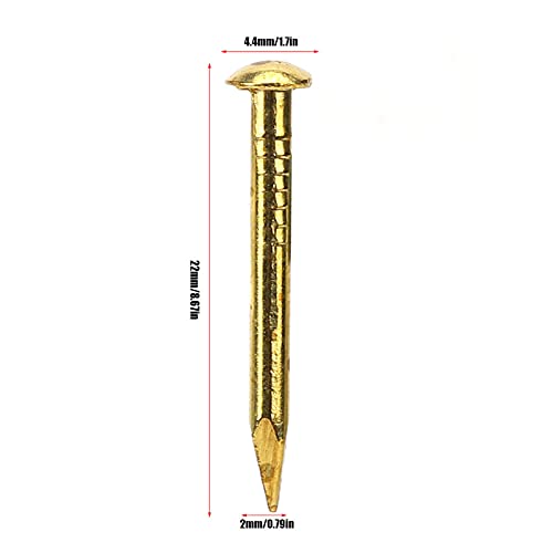 HEEPDD 100-piece brass escutcheon tacks with round heads, 22mm thick brad nails