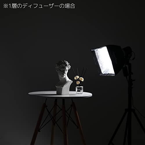 Godox ML-SF3030 Softbox, Direct Attachment (Requires No Bracket/Speed Ring) with Godox Mount for ML100Bi ML30 ML30Bi ML60 ML60Bi ML60IIBi LED Video Light for Photography Portrait Video Recording
