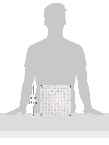 [Australia - AusPower] - Eisco Labs Magnetic Field Demonstration Plate, Large 