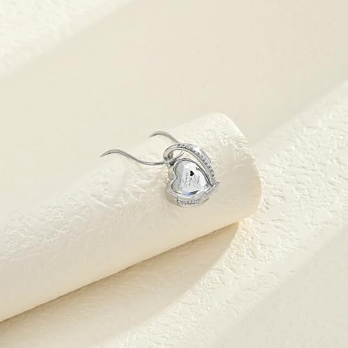 Crystal Heart Urn Necklace for Ashes for Women Stainless Steel Keepsake Pendant Ash Holder Cremation Jewelry Silver