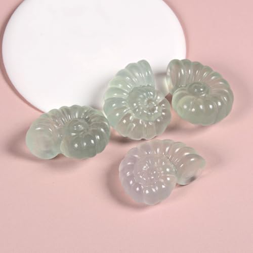 Justinstones Natural Gemstone Green Fluorite Carved Nautilus Shaped Statue Jewelry Making Rock Collection Stone Crafts