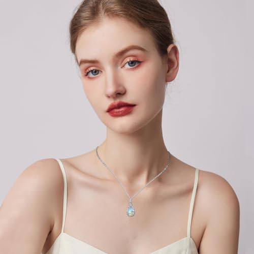 CHENGHONG 925 Sterling Silver Ashes Necklace for Dog - Cremation Jewellery Moonstone Urn Keepsake Memorial Gifts for Pet Lover Loss of Dog Women