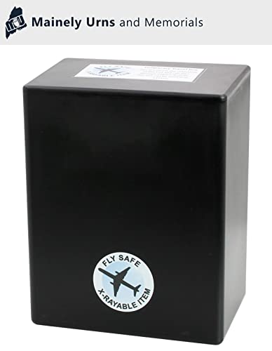 CarrySafe Urn - TSA Approved Fly-Safe and Temporary Travel Cremation Urn Kit for Human Ashes - Airline Friendly - 200 Cubic Inch Capacity - Airline-Ready Black Plastic Urn with Included Travel Box