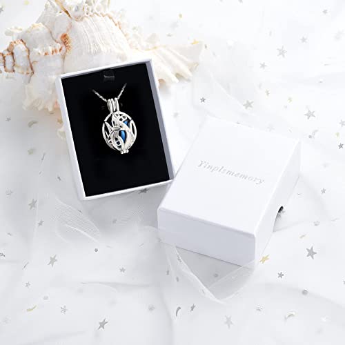 Yinplsmemory Cremation Jewelry Dragonfly Urn Ashes Necklace for Women Men with Small Keepsake Jar Urn Locket Pendant Ashes Keepsake Memorial Jewelry Blue