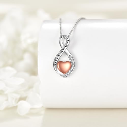 POPLYKE Infinity Heart Urn Necklace for Ashes 925 Sterling Silver Ashes Necklace Cremation Jewellery