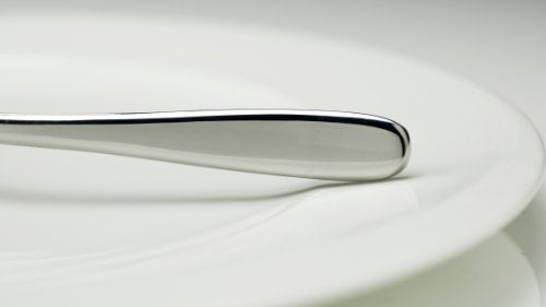 Fortessa Grand City 18/10 Stainless Steel Flatware Solid Handle Butter Knife, Set of 12