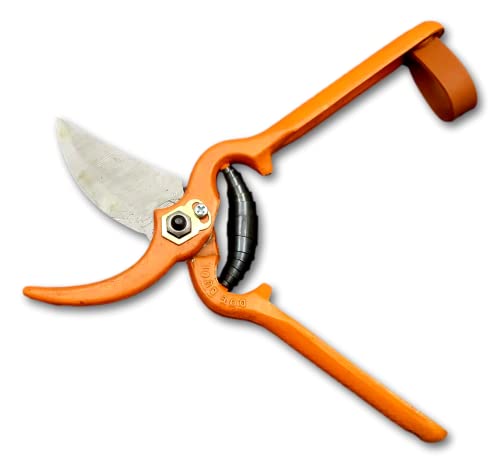DUE BUOI forged pruning shear DB 125/23V with durable metal blades and ergonomic handles