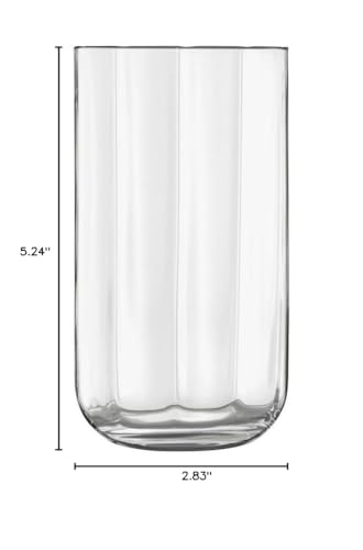 Luigi Bormioli Jazz All Purpose Beverage/HiBall Glass 15.25oz, Set of 4, Modern 15.2 Ounces