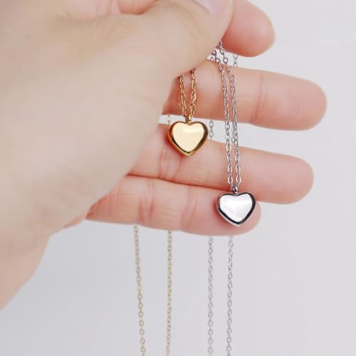 Cremation Jewelry Small Heart Urn Necklaces for Ashes for Women Men Memorial Keepsake Urns Pendant for Human Ashes Necklace Silver