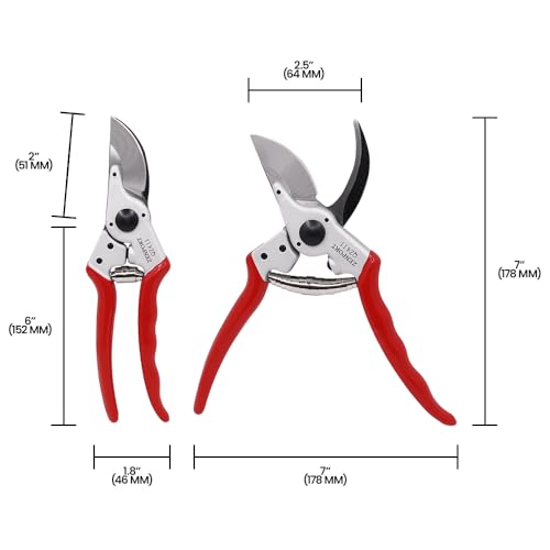 Zenport QZ411 narrow head professional pruner scissors, 1-inch cut and 8.25-inch length