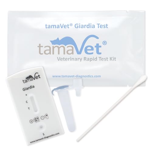 2 x Giardia Quick Test Dog & Cat – Immediate Confidence About Your Pet's Health in Diarrhoea and Intestinal Parasites – For Detection of Giardia Antigens in Animal Faeces