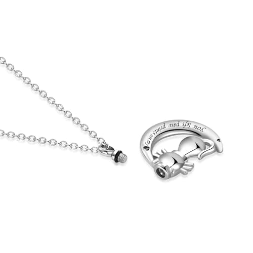 FGT Cat Dog Crescent Moon Urn Necklace for Women Cremation Memorial Jewellery for Ashes Keepsake Loved One Dog Cat Classic