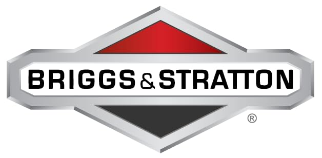 Briggs & Stratton 698537 Float Needle Valve Replacement Part