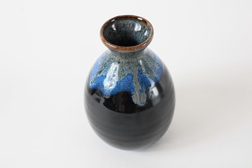 Mino ware Japanese Ceramics Sake Set (1 Bottle & 2 Cups) Tokkuri Carafe & Sakazuki Ochoko made in Japan (Japan Import) KZG001 (Black & Gold) Black & Gold