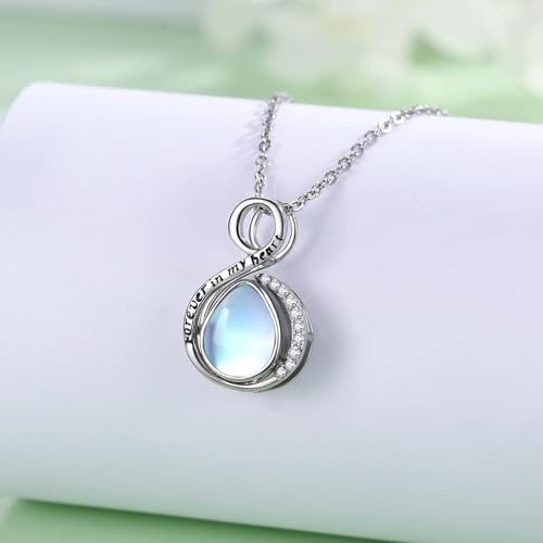 Rose Urn Necklace for Women Sterling Silver Heart Urn Necklace for Ashes Hummingbird Cremation Jewelry Gifts for Ashes of Loved One A-Urn