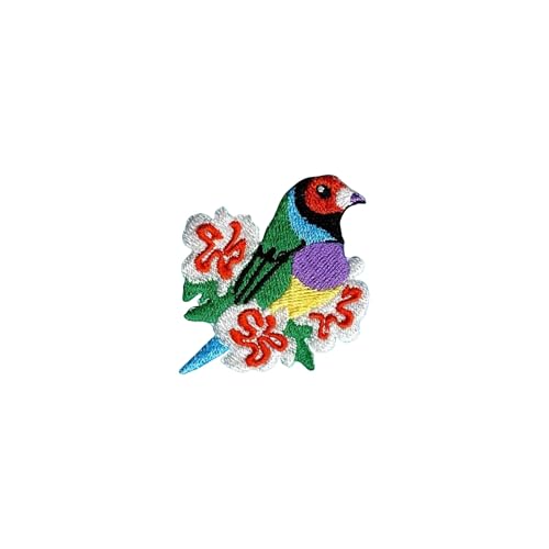 Tervis 12oz Tritan Tumbler | Birds of the Tropics Collection 12oz Tumbler, Set of4 Clear