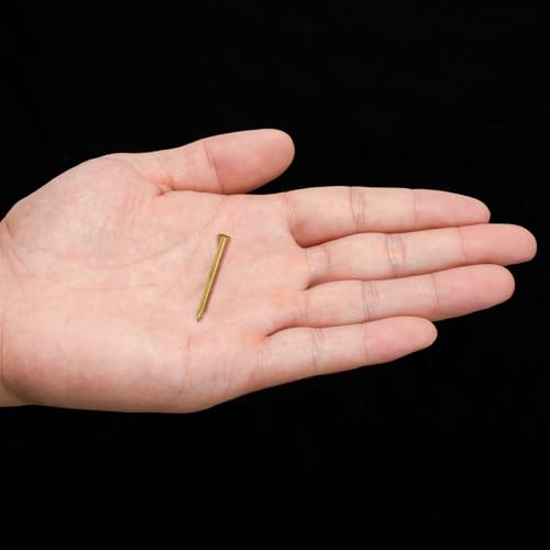 Hardware Philosophy HP pure brass common nails, 1.1-inch, bag of 100cuntegn