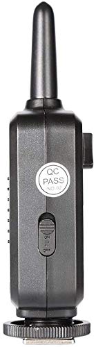 GODOX XT-16 Radio-Controlled Flash Trigger Transmitter + Receiver for Godox Witstro AD360 AD360II-C AD360II-N, Quicker, Quicker D, QT, QS, Gemini GT (XT-16)