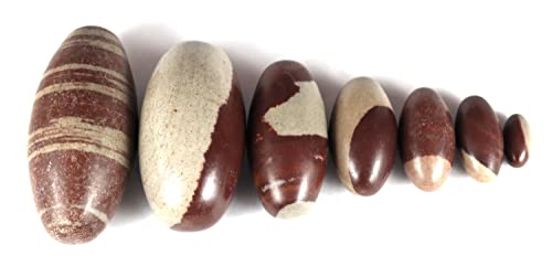 Narmadeshwar Shivling – Narmada Stone Shiva Lingam for Home Temple Pooja 5 inches 1 pcs