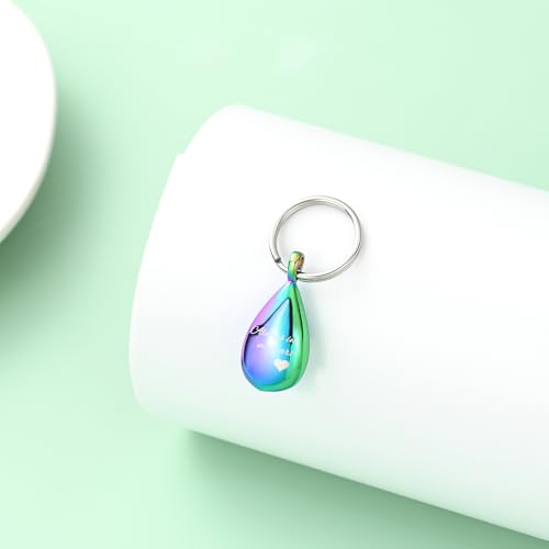 Yinplsmemory Cremation Keychain for Ashes Always In My Heart Urn Locket Cremation Jewelry Teardrop Memorial Keepsake Keychain Rainbow