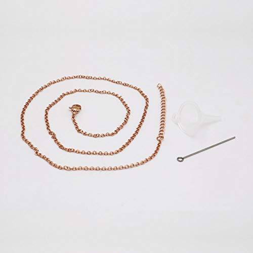 Romc Locu Fish Shape Cremation Jewelry for Ashes Stainless Steel Memorial Urn Necklace for Women Men Keepsake Jewelry Gift Rose Gold