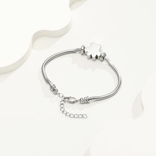 Urn Bracelet for Ashes for Women Men Dog Cat Paw Print Pet Cremation Jewellery Adjustable Memorial Keepsake Snake Link Bracelet silver