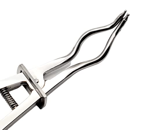 [Australia - AusPower] - Rubber Dam Pliers Ivory Clamp Forceps Dental Endodontic Restorative Instruments 