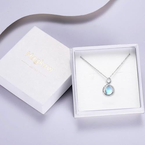 Rose Urn Necklace for Women Sterling Silver Heart Urn Necklace for Ashes Hummingbird Cremation Jewelry Gifts for Ashes of Loved One A-Urn