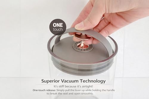 Carrotez 6.3 Cup Ecozen vacuum-sealed coffee bean container with 50.7 oz capacity, made for fresh storage of coffee beans.
