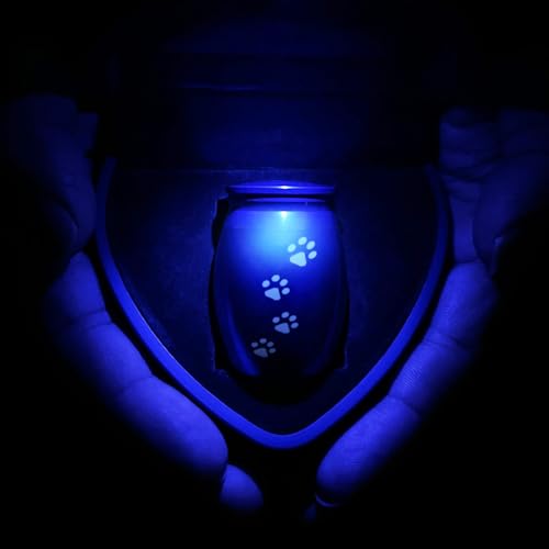 Small Pet Urns for Dog Ashes, Mini Cat Urn for Ashes Keepsake, Tiny Cremation Animal Human Memorial Necklace Loss of Dogs Cat Gifts, Pet Paw Print Urn - Heart Shaped Box with Blue Light