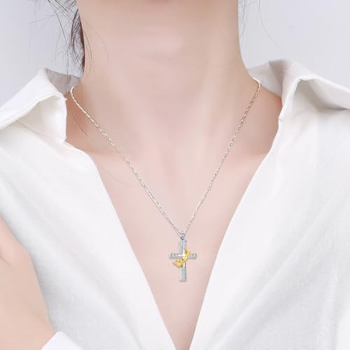 Imrsanl Crown Cross Urn Necklace for Ashes for Women Men Gold