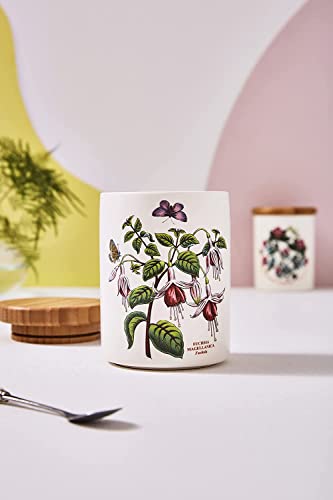 Portmeirion Botanic Garden 5.5" Airtight Canister - Earthenware Storage Container with Wooden Cover, Fuchsia Floral Motif, Dishwasher Safe, Ideal for Kitchen Storage Solutions & Coffee Station 5.5 inch H