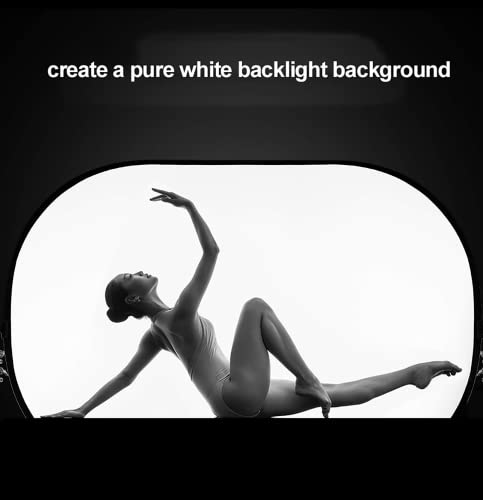 Selens Soft White Diffuser Foldable Light Diffuser Light Diffusion Panel 31x47inch/80x120cm with carrying bag